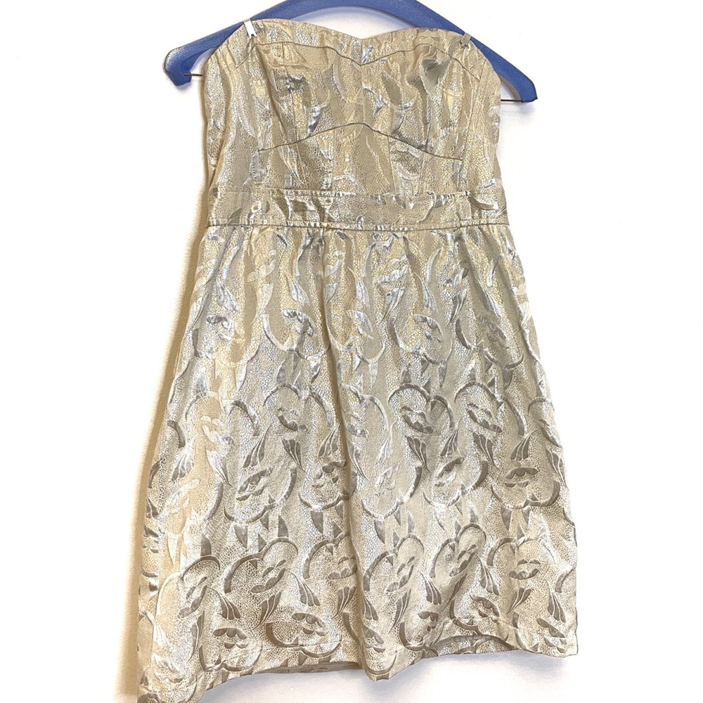 American Eagle Strapless Metallic Mini Dress
